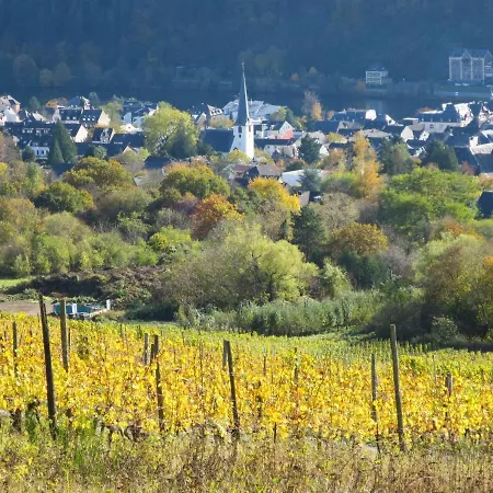 Appartement A12 By Interhome *