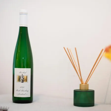 A12 By Interhome 아파트 *